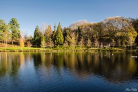 /album/fotos/a1484074-10202390290776280-475410113-o-jpg/