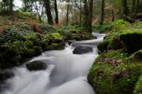 /album/fotos/dsc2265-jpg/