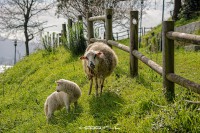 /album/fotos/dsc2848-editar-jpg/