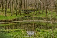 /album/fotos/dsc3322-editar-jpg/